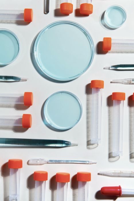 Check-up программы